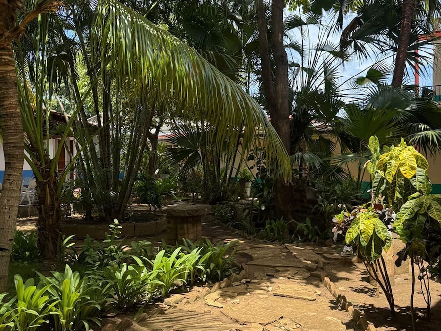 Classic Studio, Courtyard View | View from room