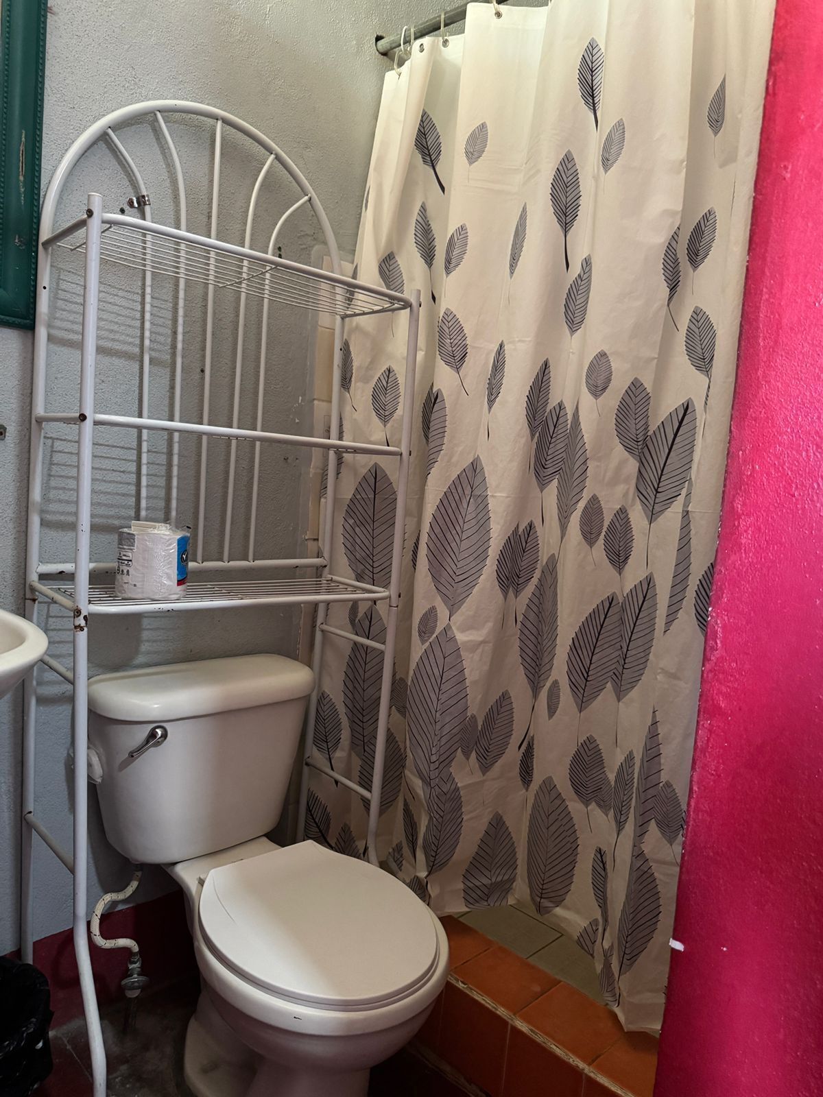 Et badeværelse med toilet, en metalkapel og et bruseforhæng med bladmotiv.