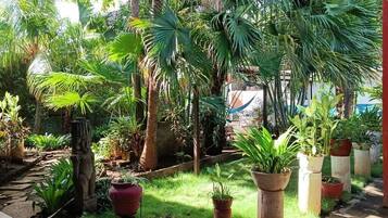 Un jardín exuberante con diversas plantas en macetas y una hamaca.
