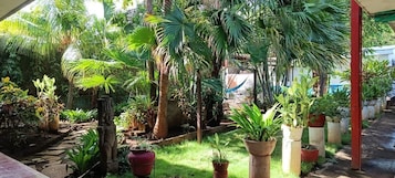 Un jardín exuberante con diversas plantas en macetas y una hamaca.