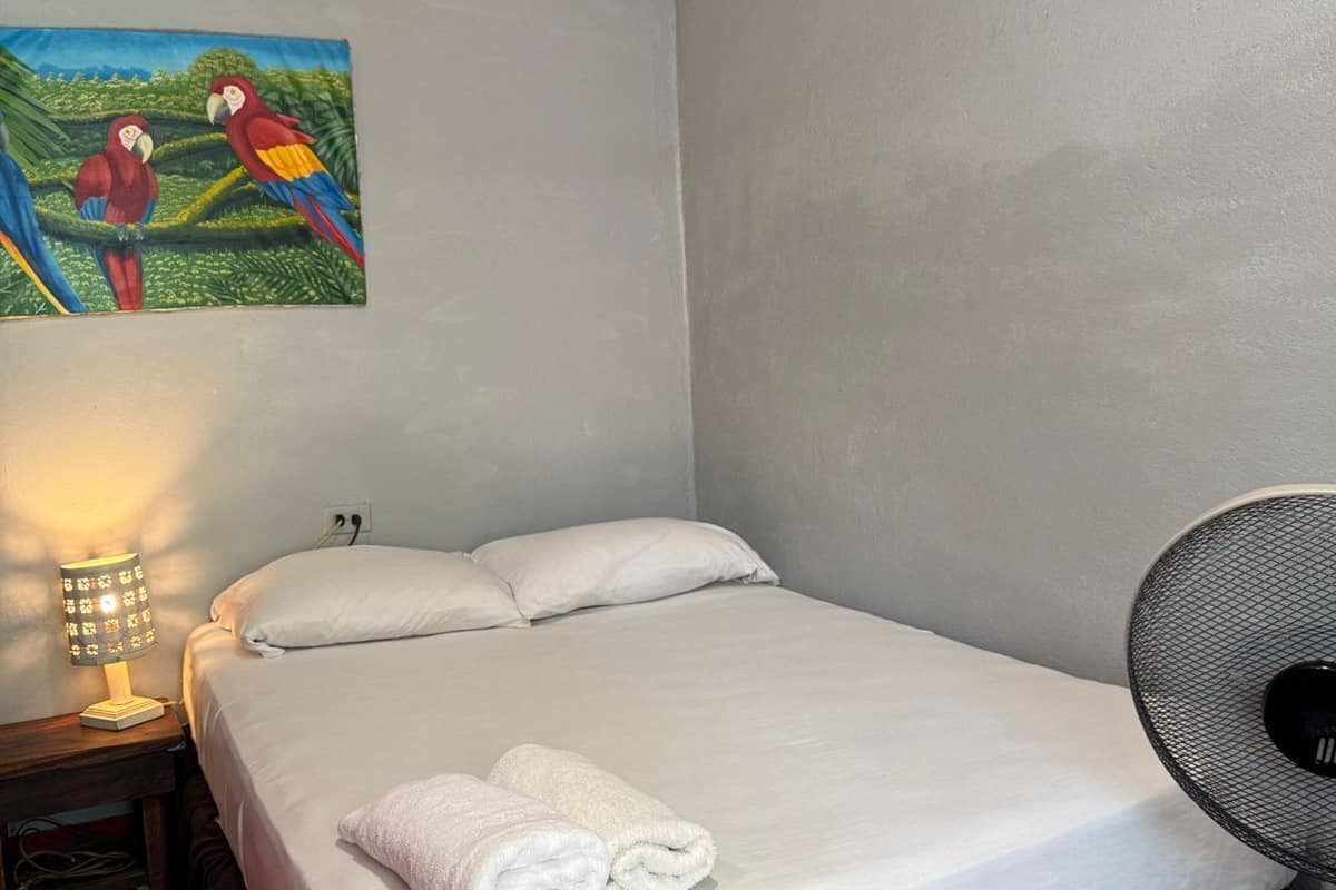 Uma cama de solteiro com roupa de cama branca, um abajur, um ventilador e um quadro de papagaios na parede.