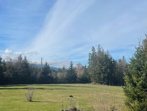 Immagine non classificata, 3 di 16, pulsante