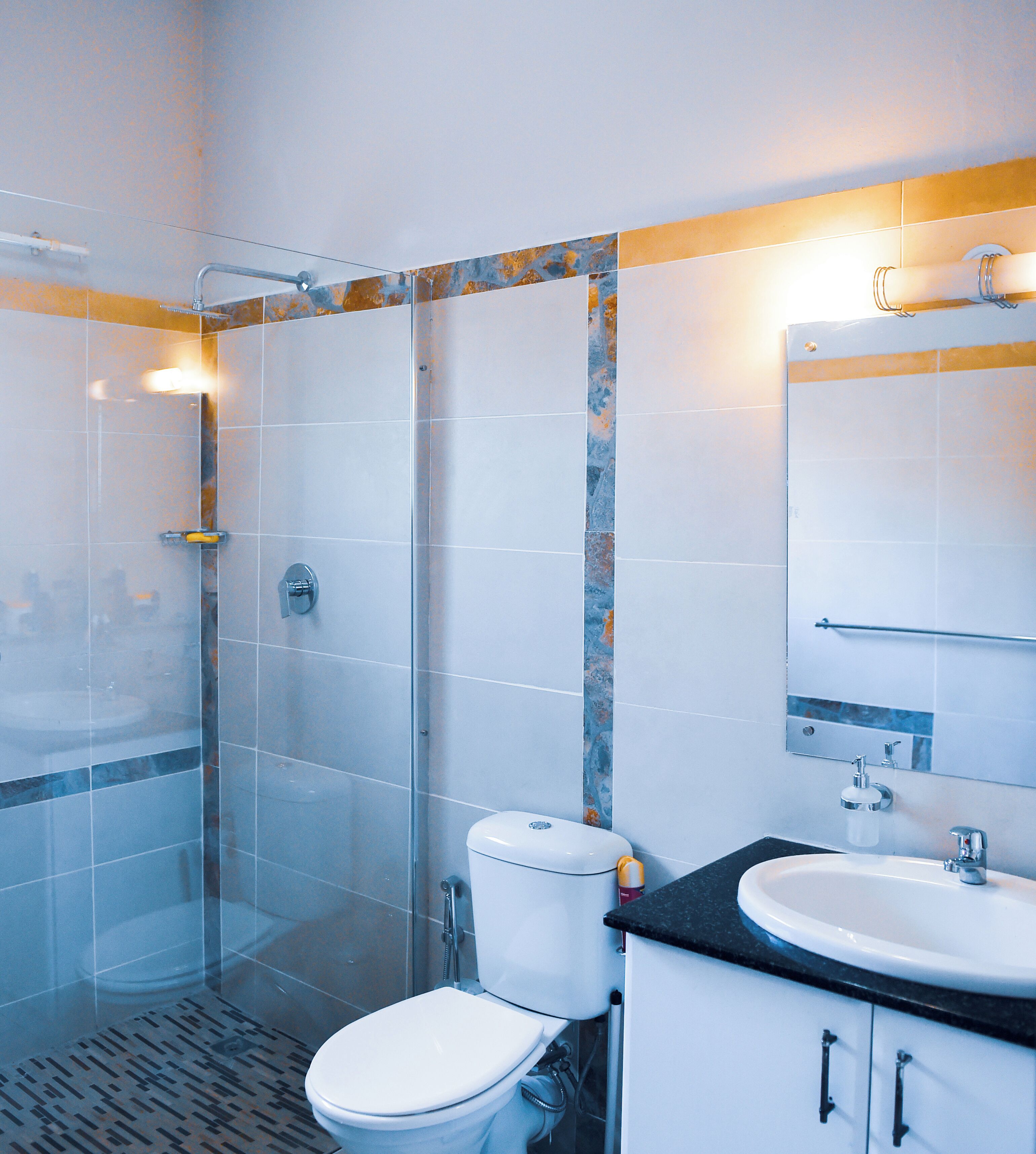 Een douche, een haardroger, een bidet, zeep