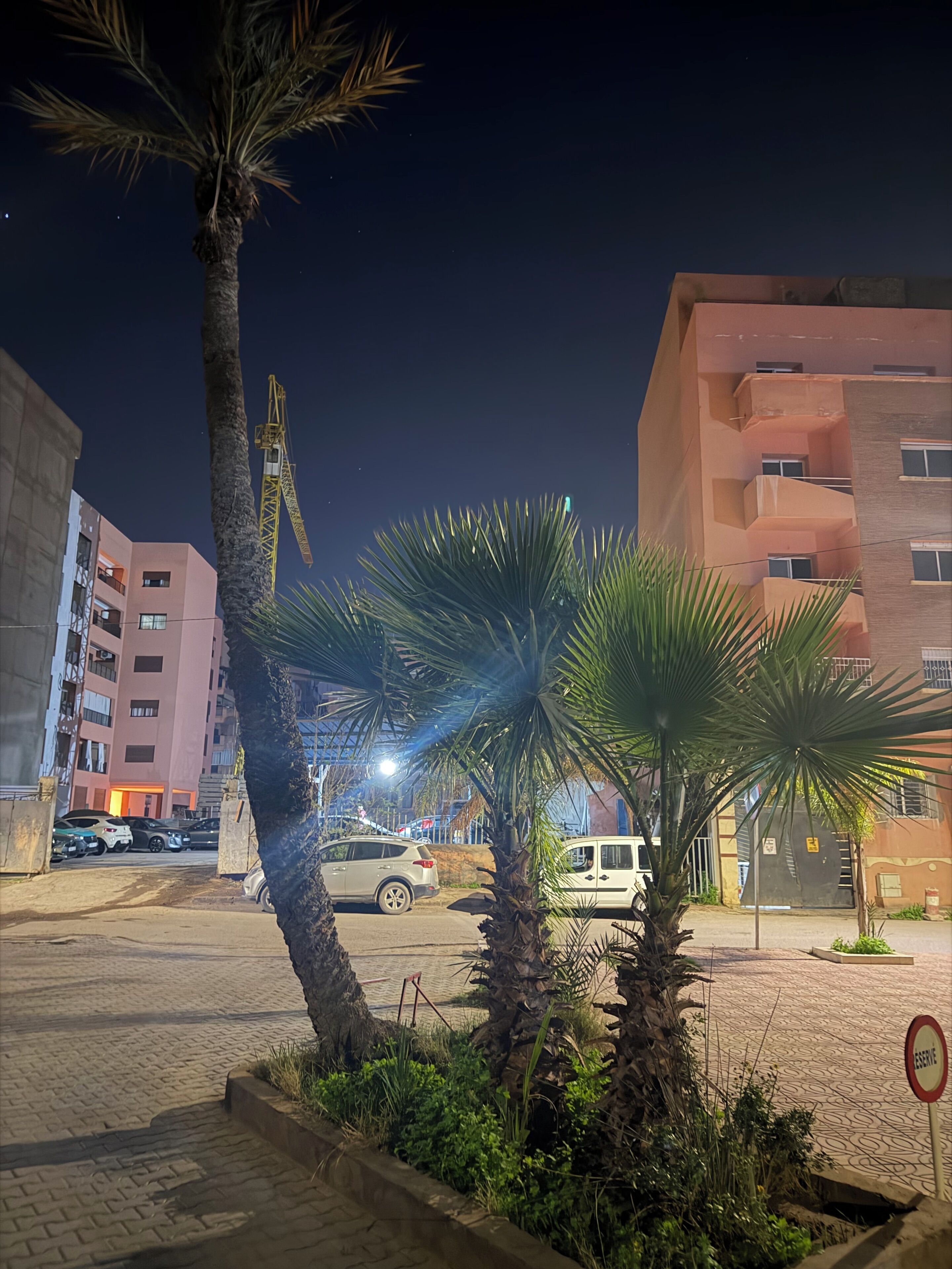A nighttime urban street with palm trees, parked cars, and buildings.