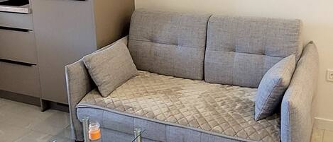 Studio, byutsikt | Oppholdsområde