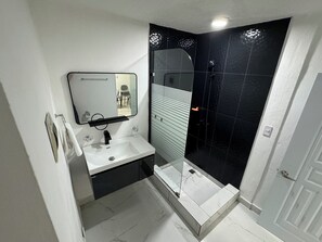 Regadera, toallas, papel de baño 