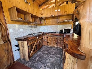 Kjøleskap, mikrobølgeovn, kokeplater og vannkoker