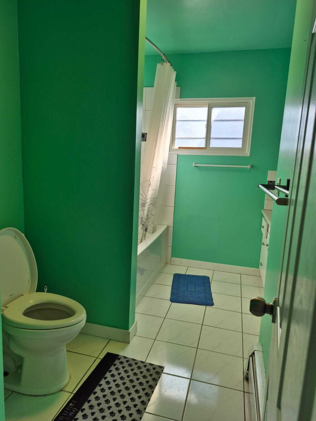 Hair dryer, toilet paper