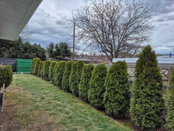 Unclassified image, 1 of 8, button