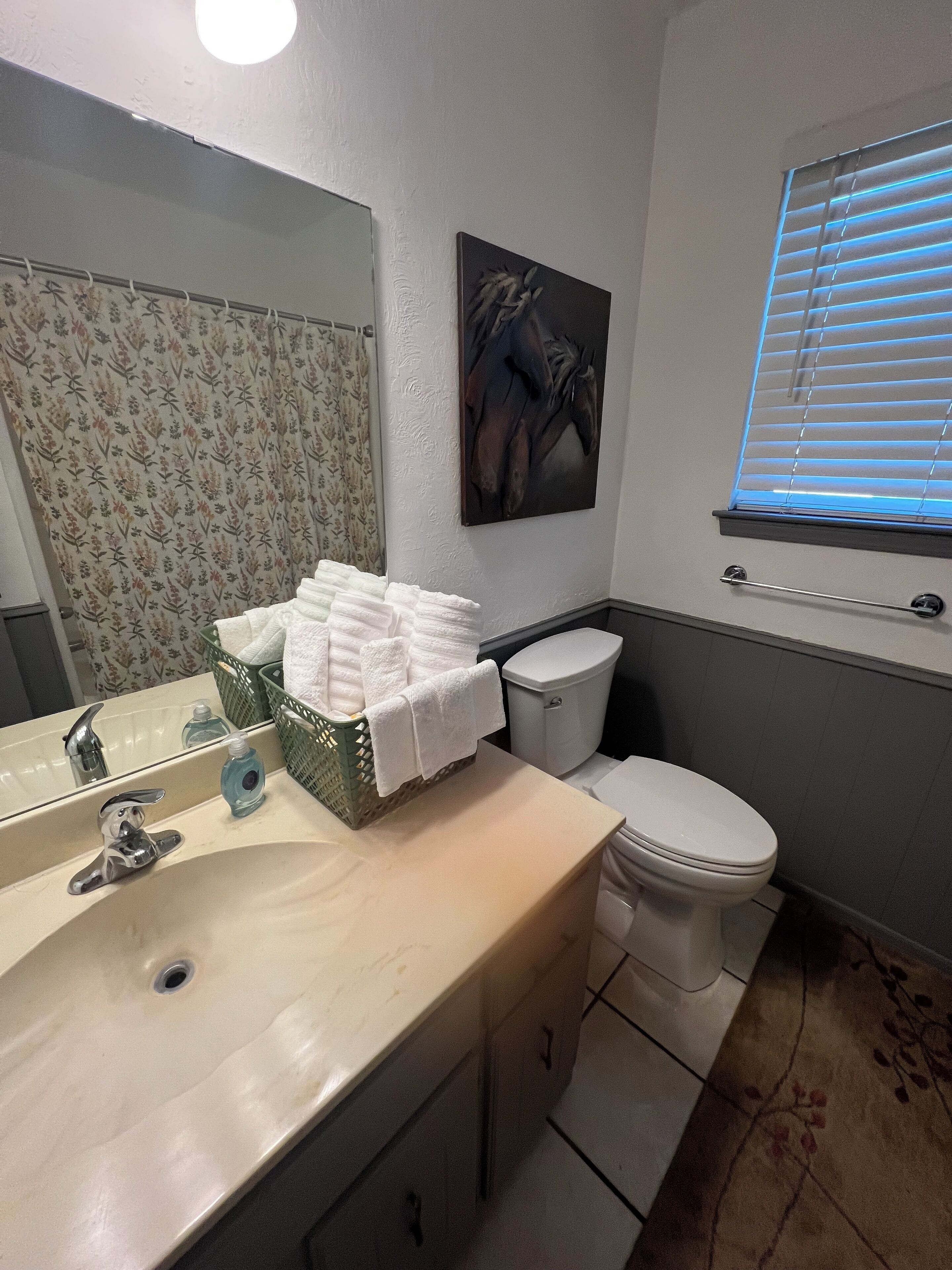 Shower, towels, soap, toilet paper