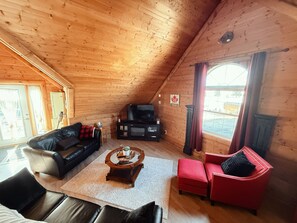 Smart TV, fireplace, books