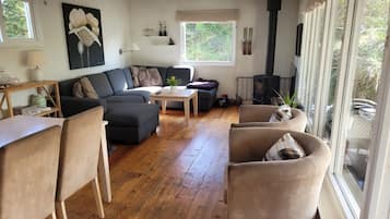 TV, fireplace, DVD player