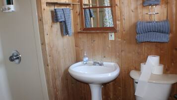 Shower, jetted tub, hair dryer, towels