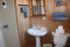 Shower, jetted bath, hair dryer, towels