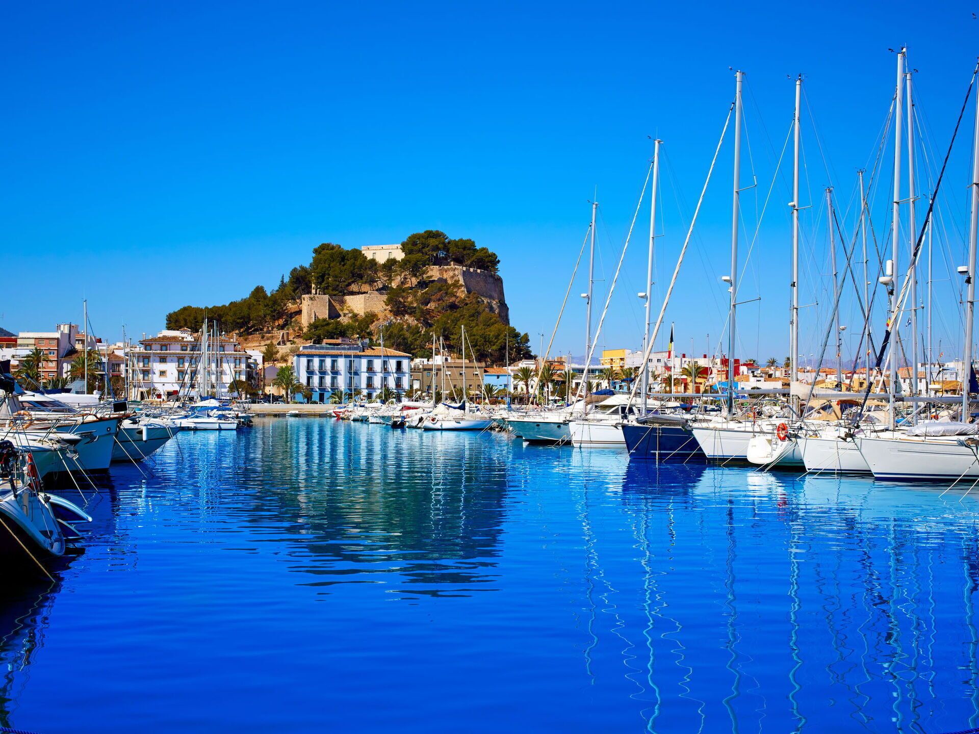 A marina with boats docked, a hill with buildings, and clear blue skies.