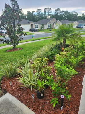 Área da propriedade