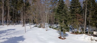 Simple cabin on 26 acres with direct access to ITS and four wheeler trails.