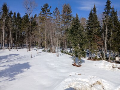 Simple cabin on 26 acres with direct access to ITS and four wheeler trails.