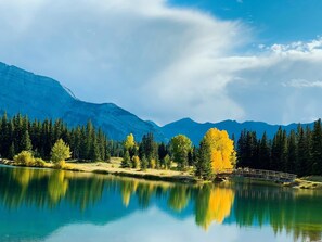 Luokittelematon kuva, 5 kautta 14, painike