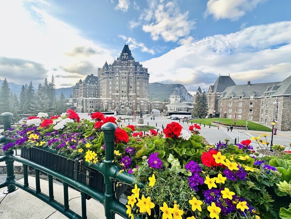 Luokittelematon kuva, 1 kautta 14, painike