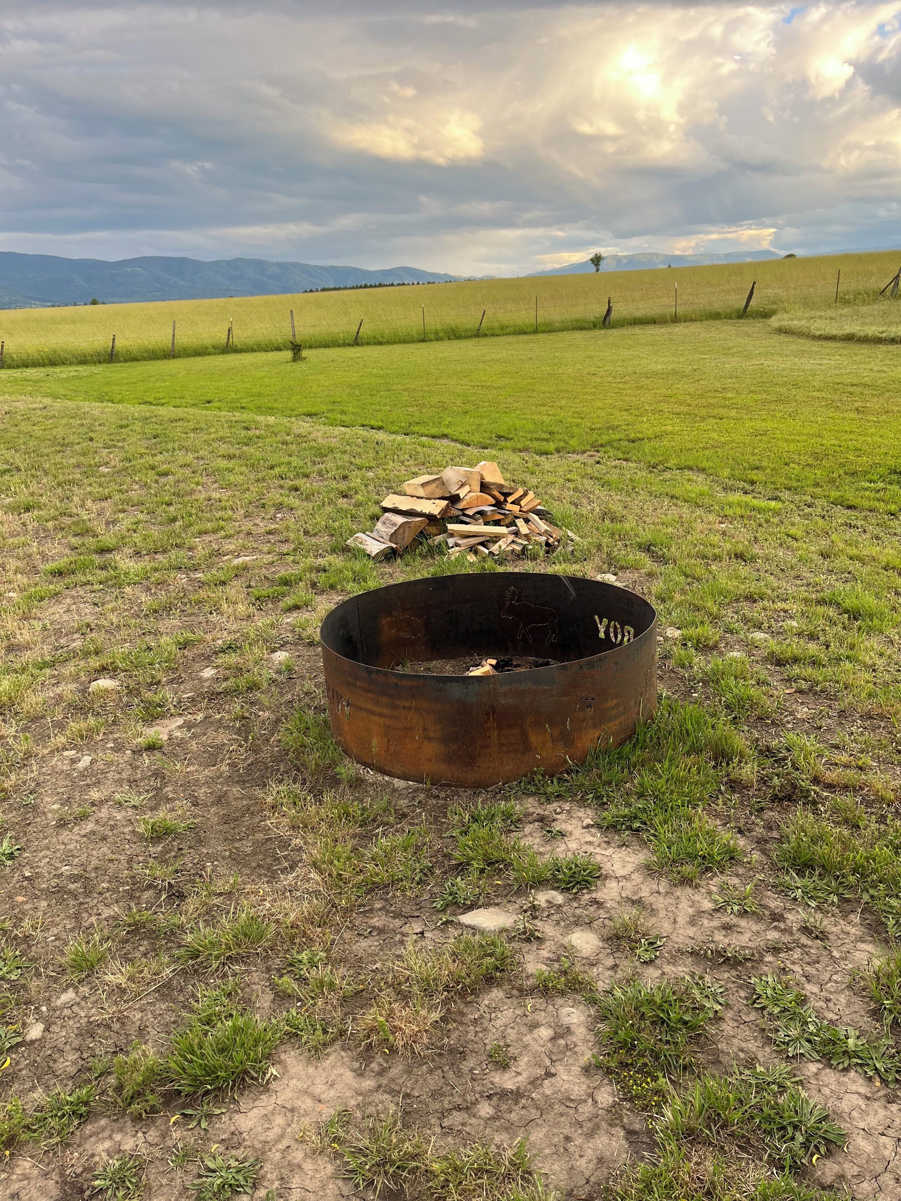 Un foyer en métal avec des bûches, situé dans un champ d’herbe.