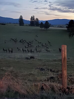 Photo non classée, 2 sur 22, bouton