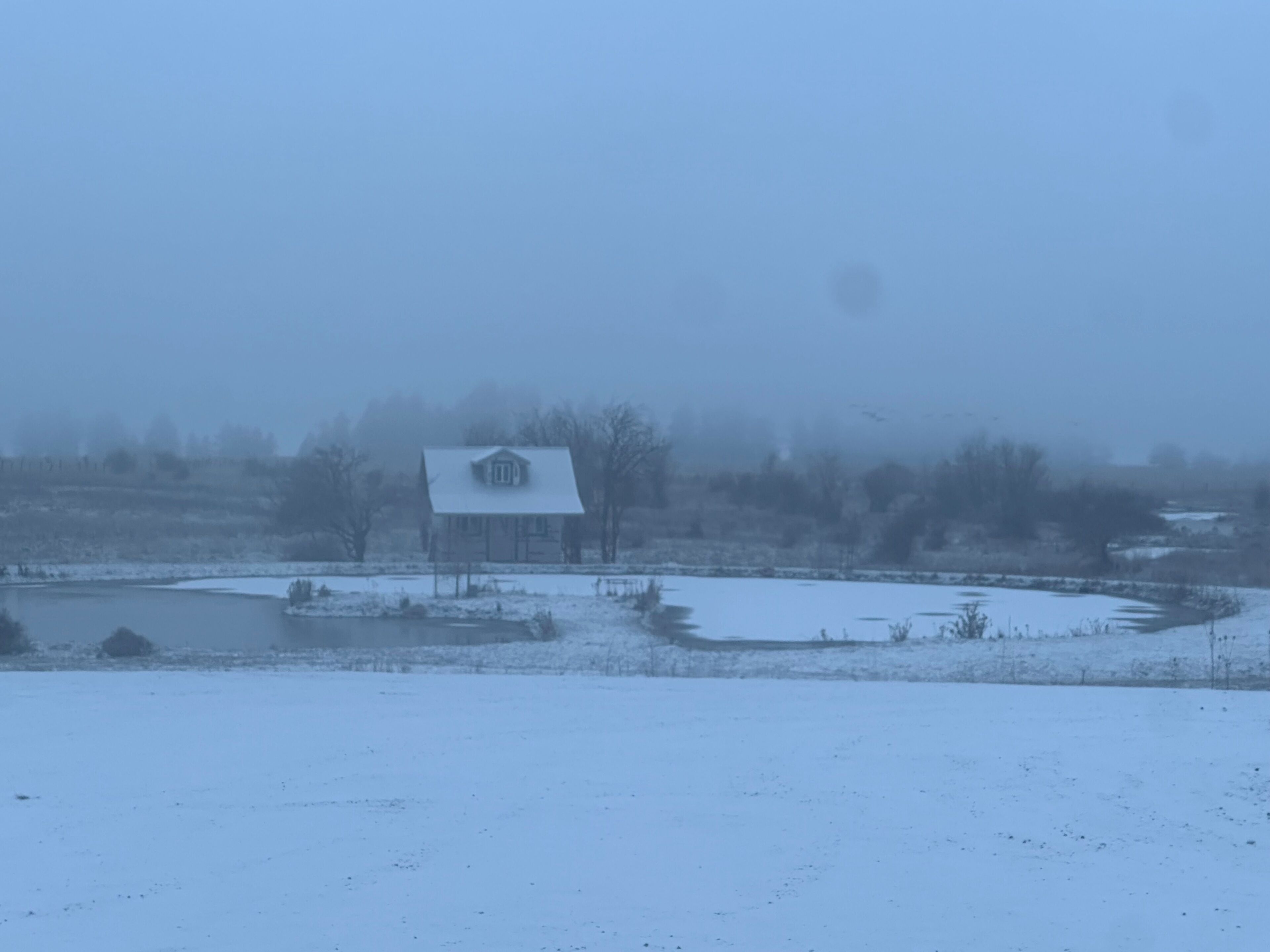 A snow-covered landscape with a single house in the center.