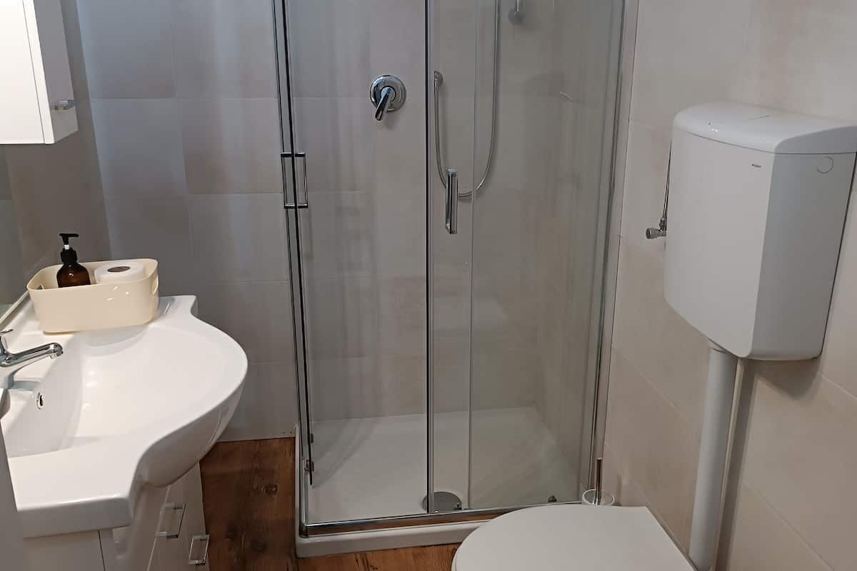 Tweepersoonskamer | Badkamer | Een douche, een haardroger, handdoeken, zeep