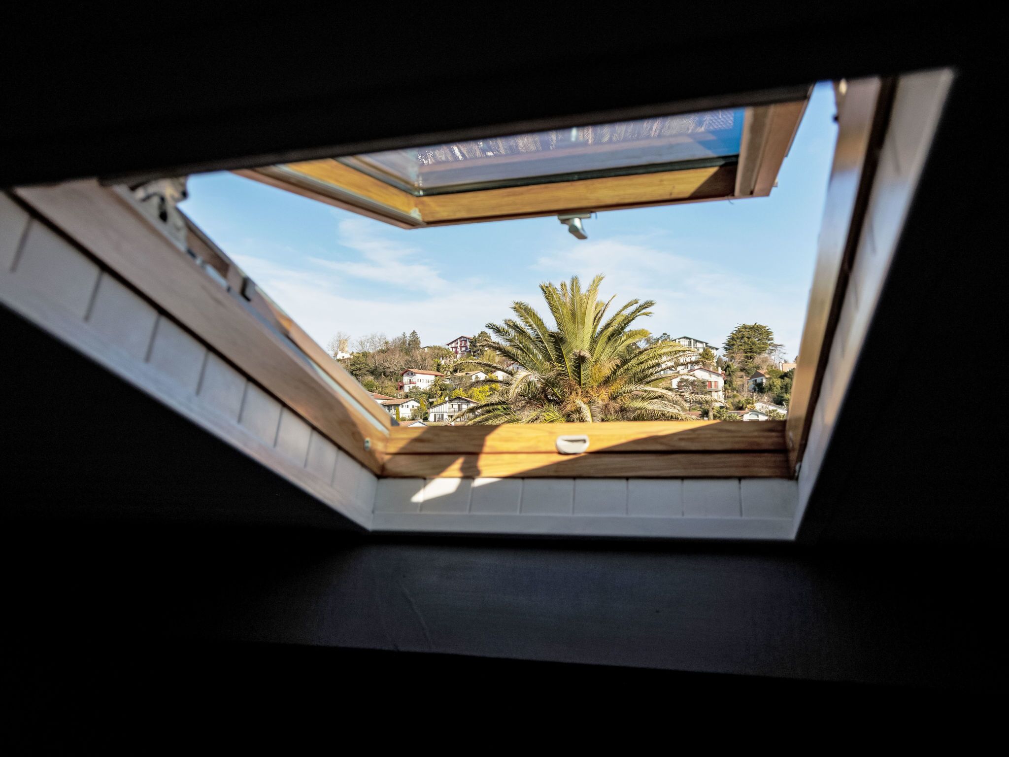 A skylight with a view of a residential area, including houses and palm trees.
