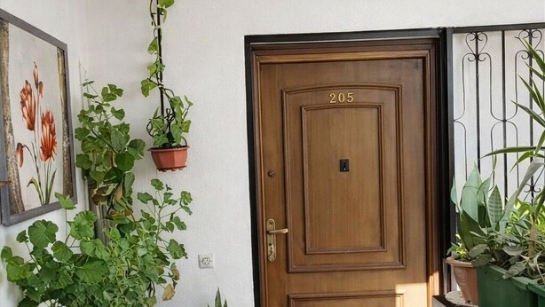 Une porte en bois portant le numéro 205, de part et d’autre, des plantes en pot, et un tableau encadré accroché au mur.