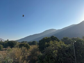 Nicht klassifiziertes Bild, 3 von 10, Schaltfläche