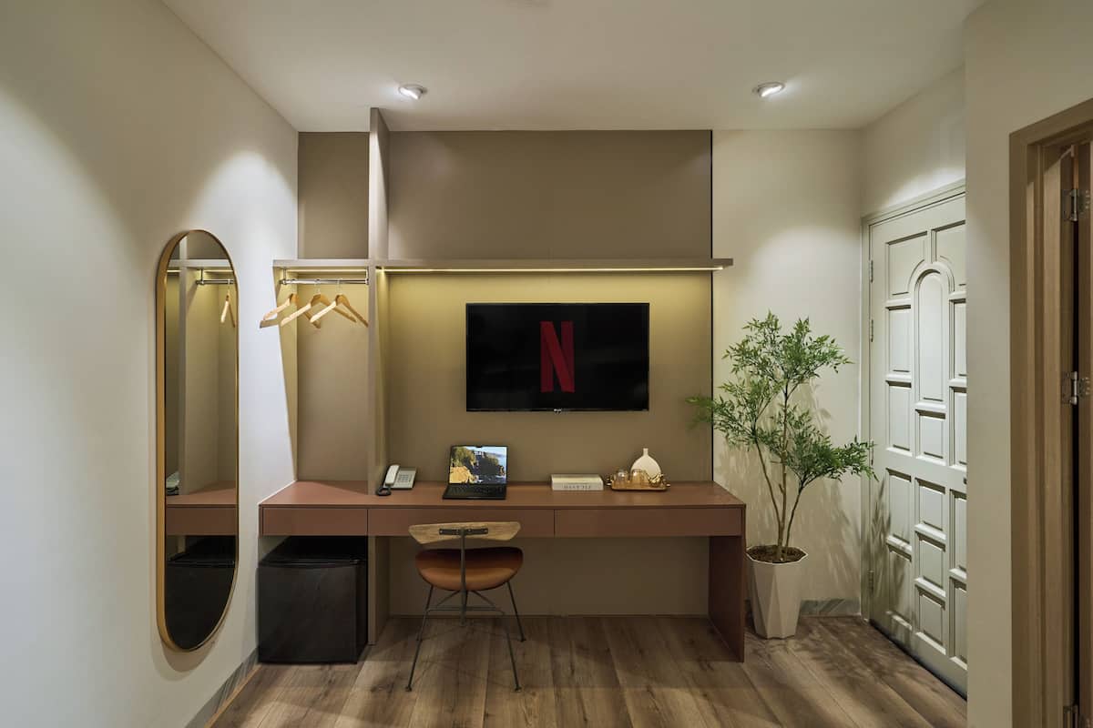 A modern room with a desk, a mirror, a TV, a plant, and a wardrobe.