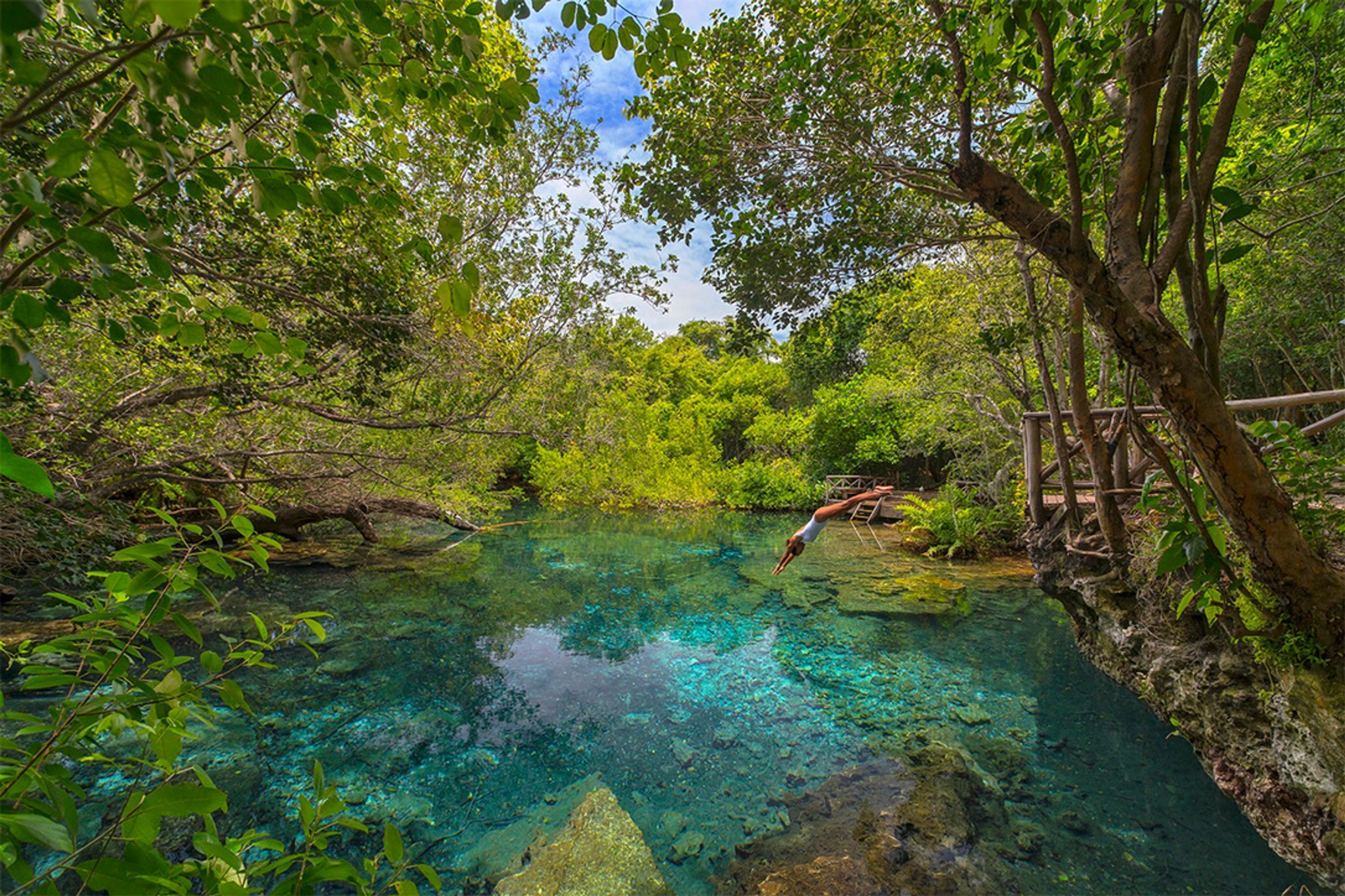 A natural pool surrounded by lush greenery and a wooden bridge.