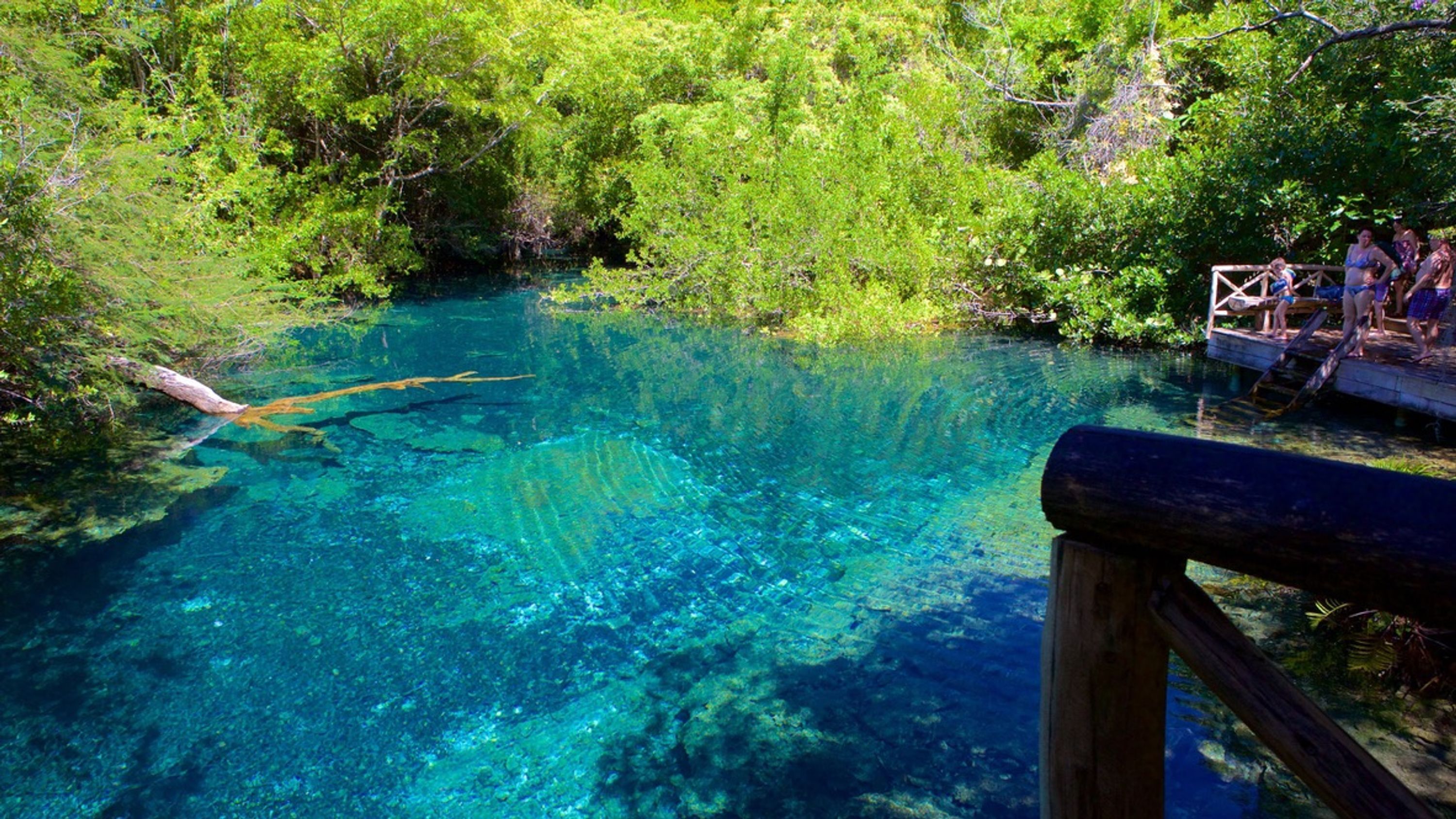 Une piscine d’un bleu éclatant, entourée d’une végétation luxuriante, avec une terrasse en bois et une balustrade en bois au premier plan.