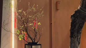 Une façade d’immeuble ornée d’un grand numéro « 61 », un pot de fleurs contenant une plante avec des branches et des feuilles, et une sculpture en métal.