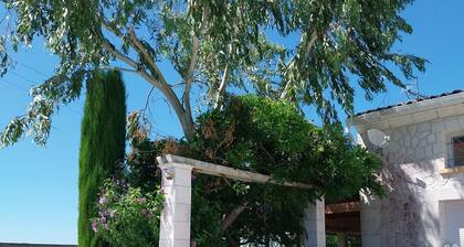 Spacious family villa with swimming pool