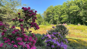 Een tuin met bloeiende struiken en een pad.