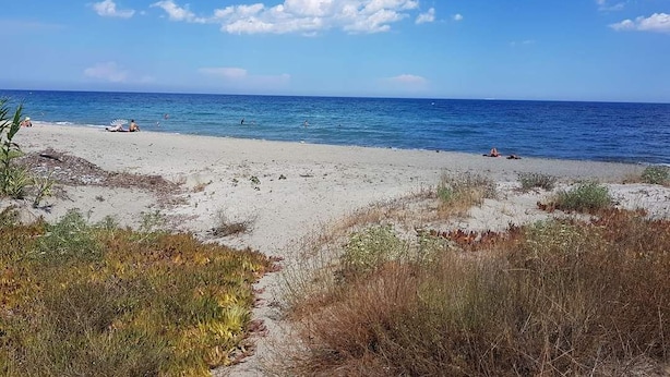 Una playa con cielo despejado y mar tranquilo.