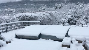 Schneebedecktes Freigelände mit einer Steinmauer und Stufen, die zu einer Holzterrasse führen.