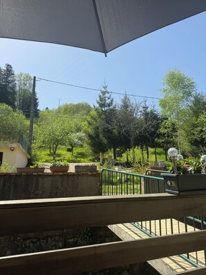 Property grounds - Charming 3-room apartment in the hills above Gérardmer (Gérardmer)