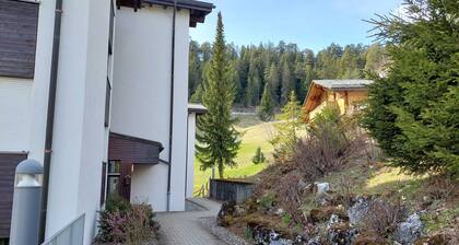 Summer apartment in Laax Murschetg, quiet location, 2 min. to the gondola, with balcony