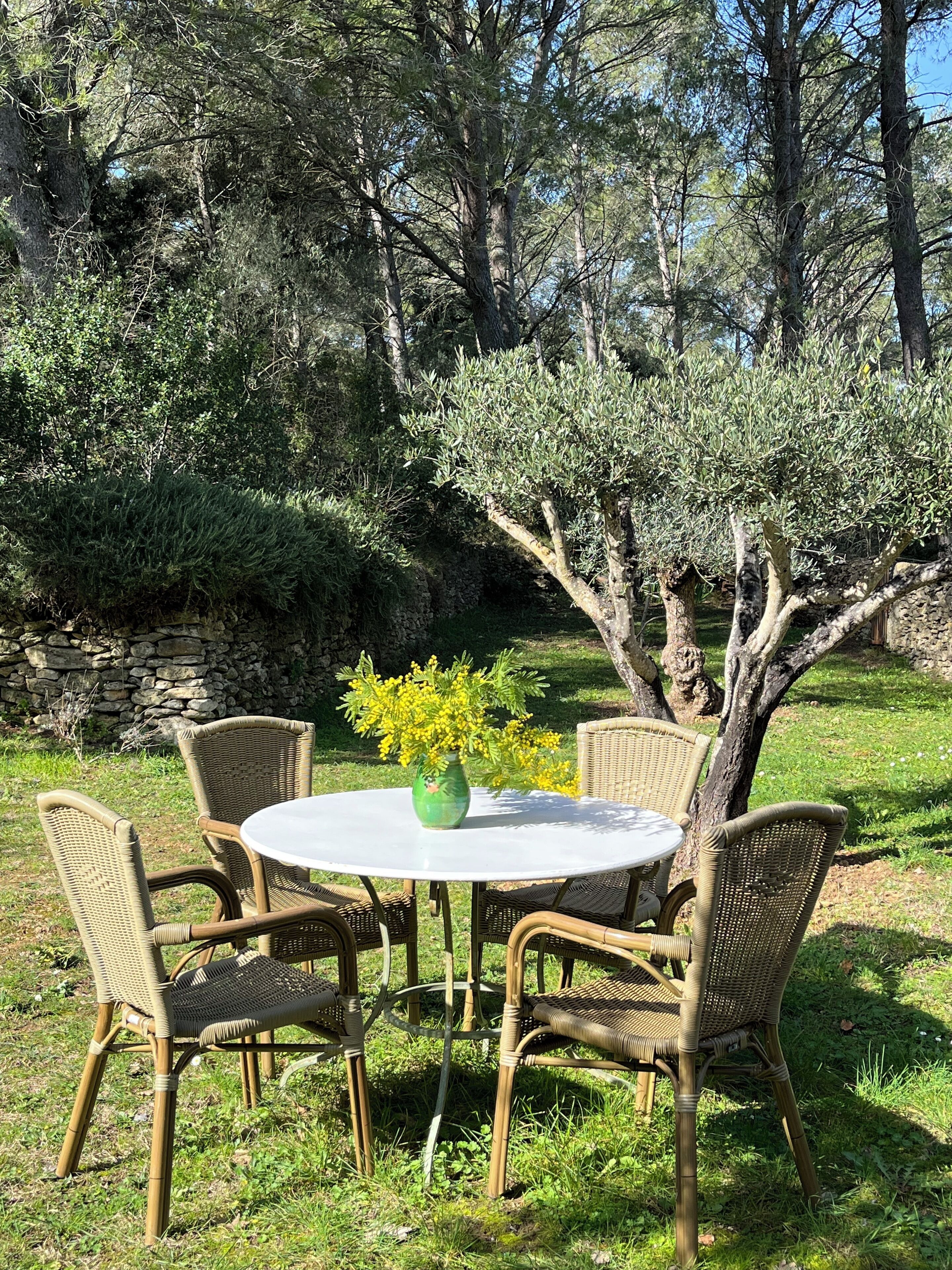 Een ronde tafel met rieten stoelen en een vaas met gele bloemen in een tuin.