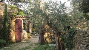 A stone pathway leading to a rustic building with a wooden door. - Mazet Carcarie, vacation home Provence, secluded location, stone house, nature, garden, dog (Montaren-et-Saint-Médiers)
