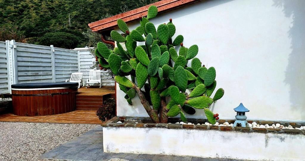 Suite Deluks, pemandangan pantai