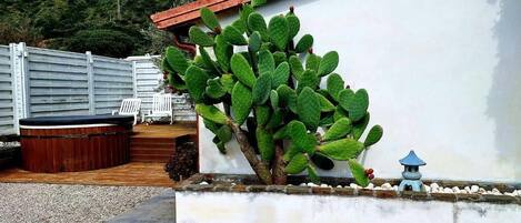 Suite Deluks, pemandangan pantai