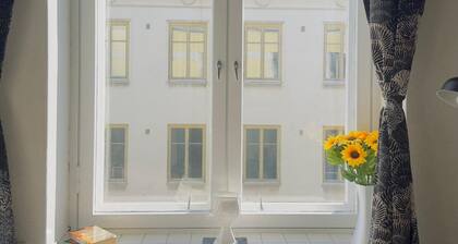 Premium location, studio apartment in the city center, free Wi-Fi