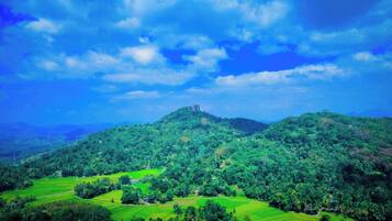 A lush green landscape with terraced fields and a prominent hill with a structure on top.