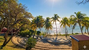 Une vue sur la plage, avec des palmiers, une structure en bois et un ciel dégagé.