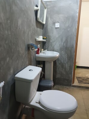 Douche, baignoire à jets, bidet, serviettes fournies