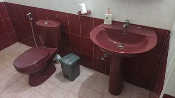 Chuveiro, banheira de hidromassagem, bidê, toalhas de banho